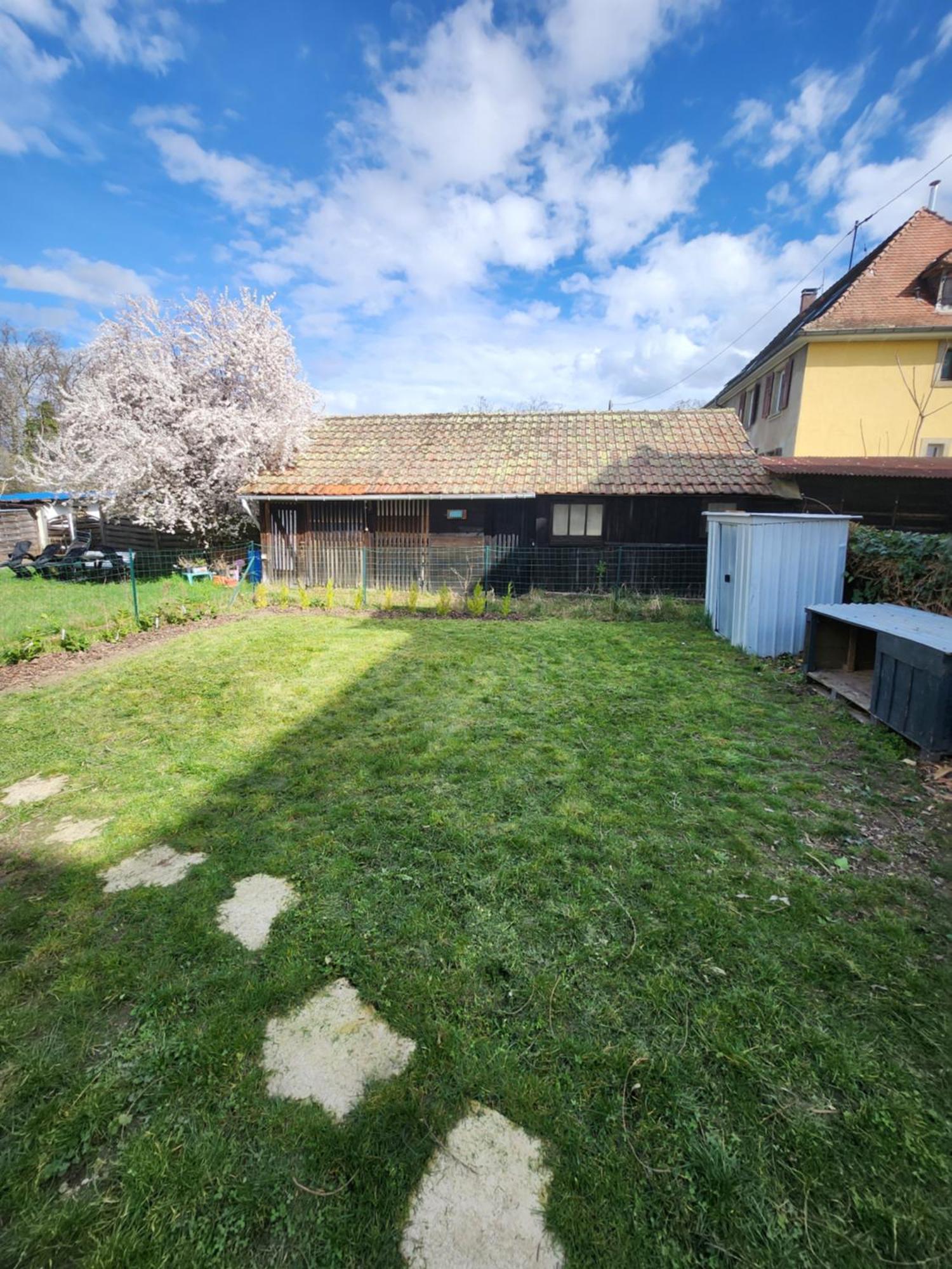 Gite Du Logelbach Wintzenheim Exterior foto