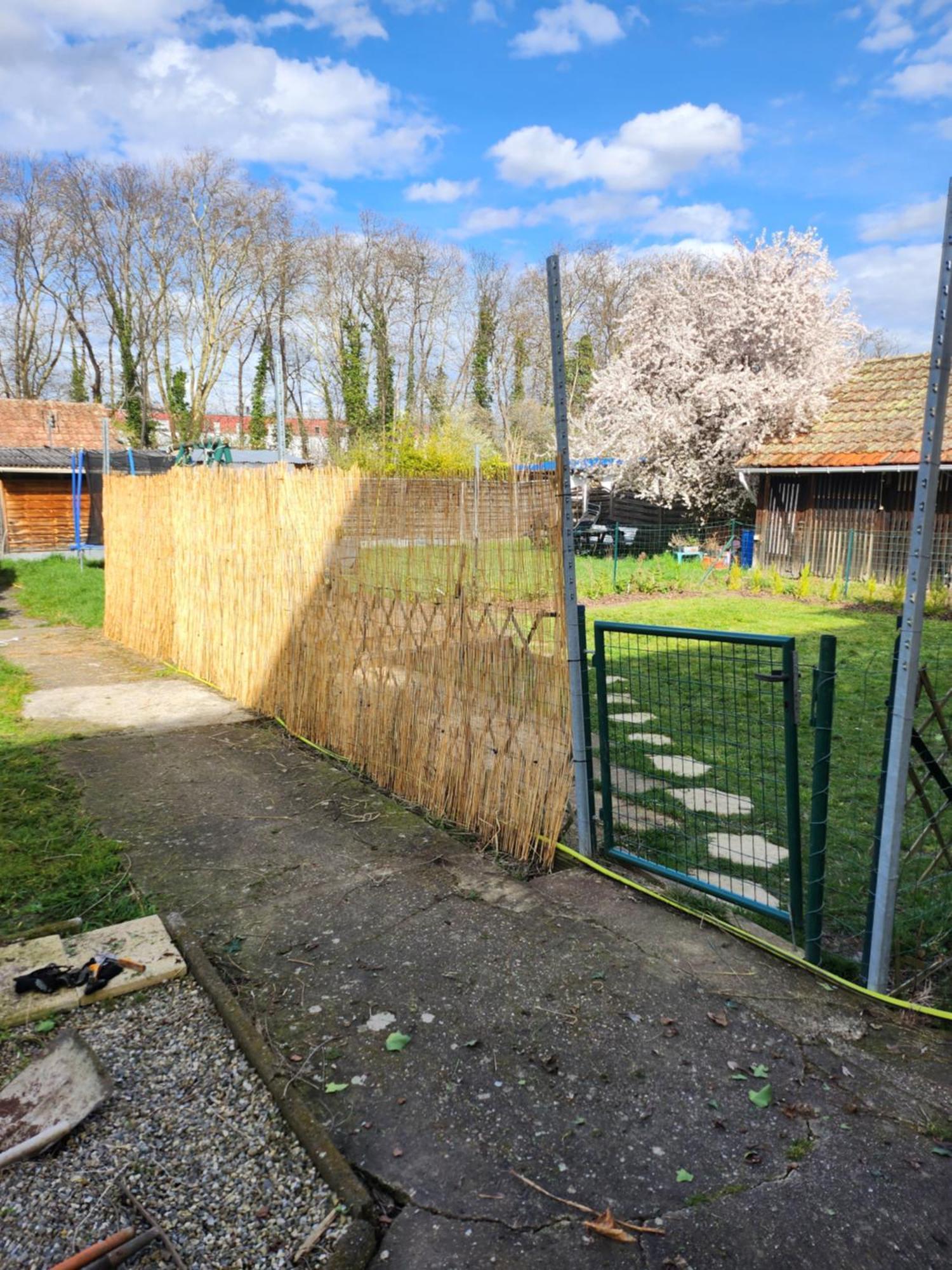 Gite Du Logelbach Wintzenheim Exterior foto
